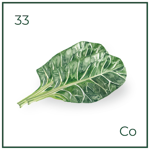 Sweet & Savory: Roasted Delicata Squash and Collard Green Salad